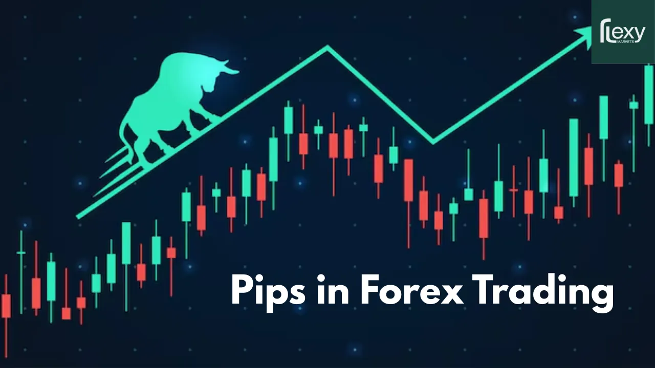 Understanding Pips the Building Blocks of Forex Trading